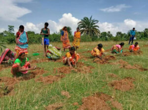 Women working in field